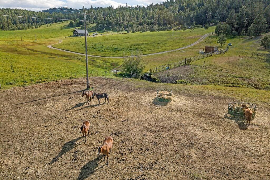 Wilderness Cabin - Eden Valley Oroville Eksteriør billede