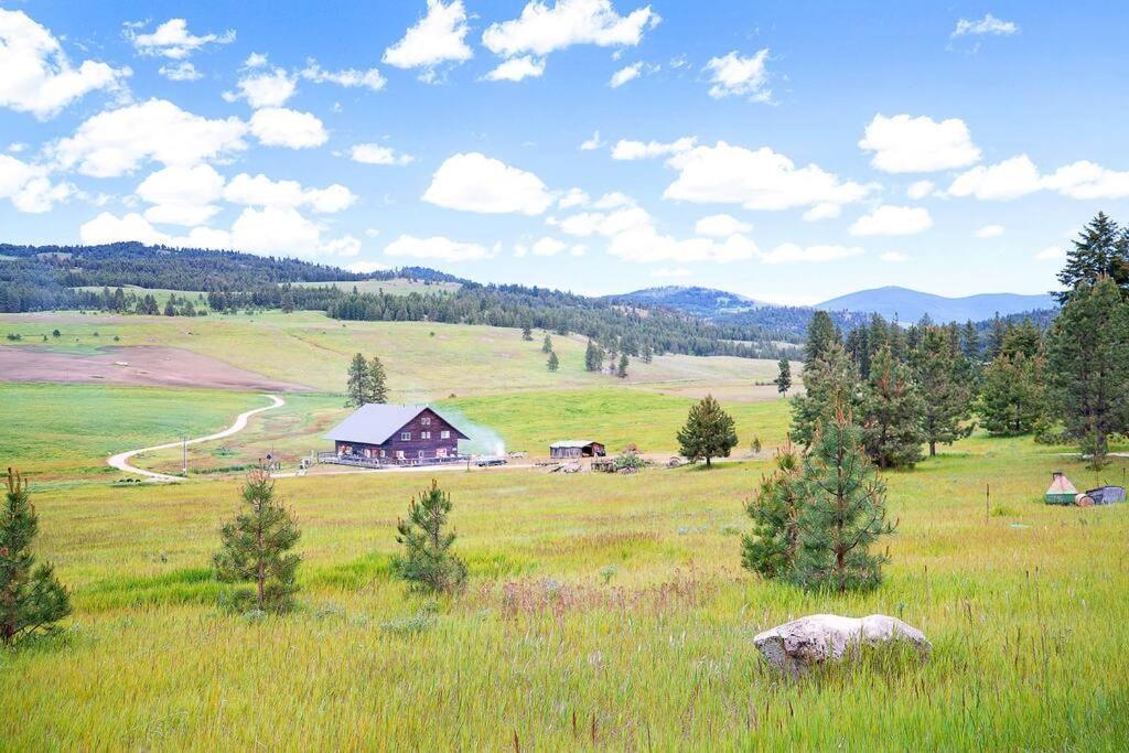Wilderness Cabin - Eden Valley Oroville Eksteriør billede